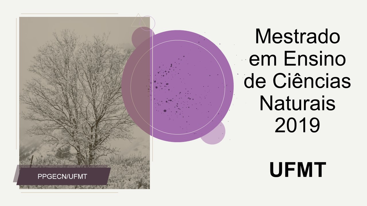 2019 ABERTURA